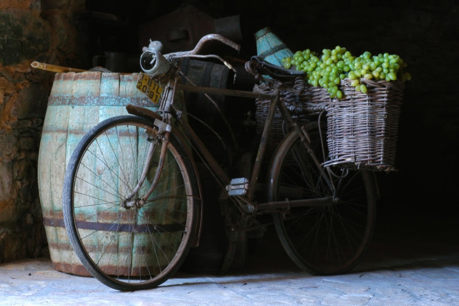 La vente en ligne de vin bio